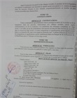 Statuts signés devant le notaire